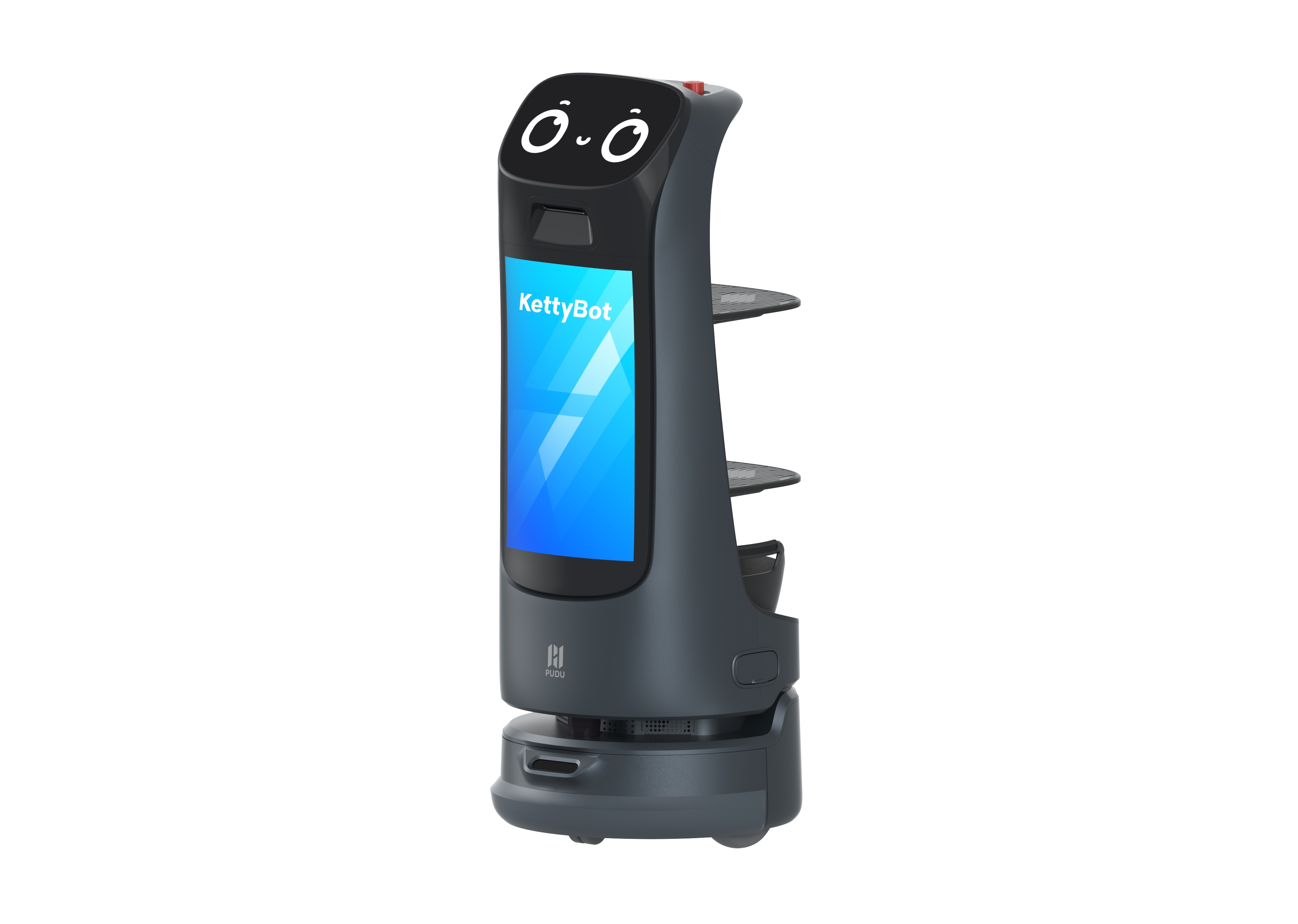 KettyBot Pro 